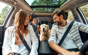 How to Get Better Value From Car Insurance Quotes in the UAE